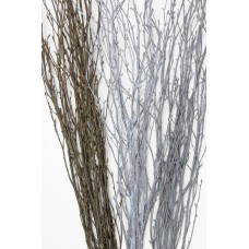 BIRCH BRANCHES 3'-4' White Wash-CLOSE OUT 
